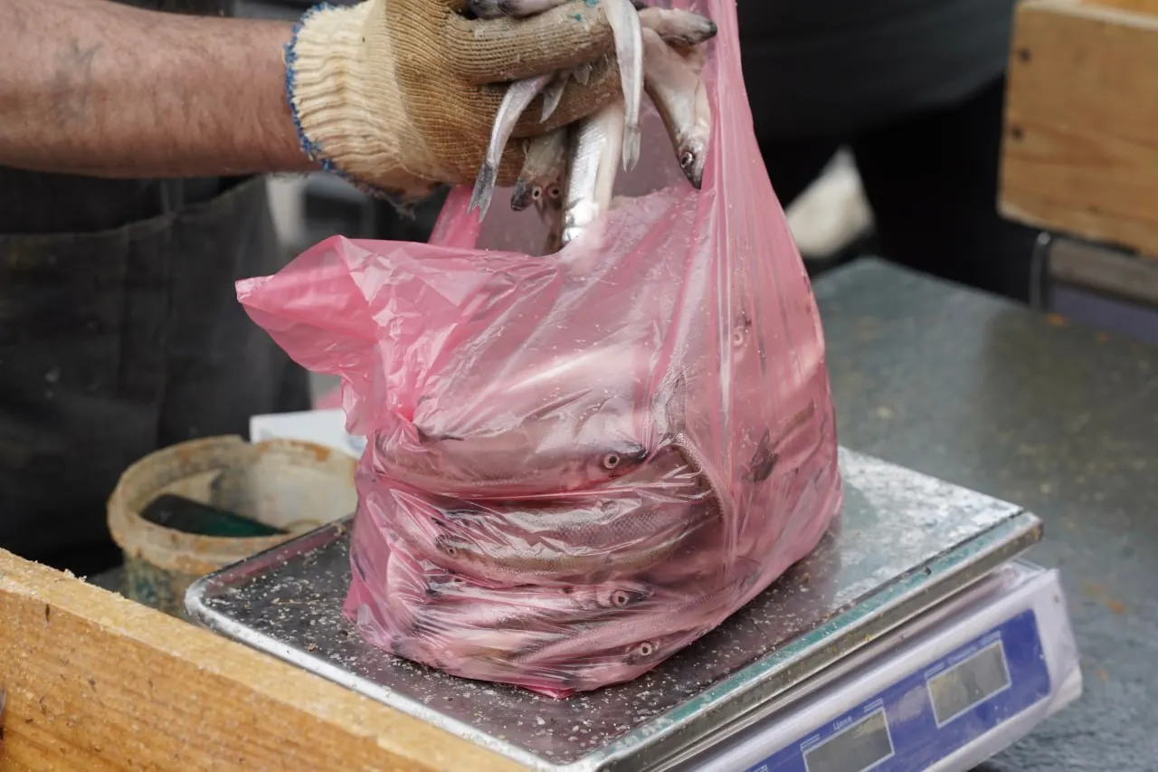 Экологи считают, что локальные разливы после атак БПЛА не затронули места нереста корюшки; окончательно подтвердить безопасность для пойманной рыбы должны лабораторные проверки.