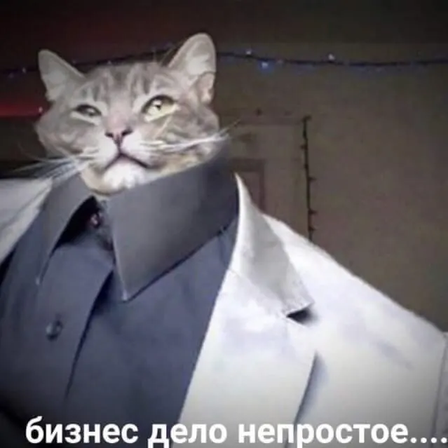 В новом рейтинге инвестиционной привлекательности регионов, составленном Финансовым университетом при Правительстве России, Карелия заняла 76-е и последнее место с 12,6 балла.