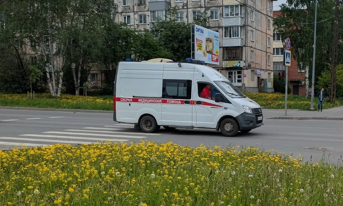 Следственный комитет Карелии возбудил уголовное дело после нападения собаки на подростка в микрорайоне Соломенное. По словам матери пострадавшего, женщина-владелица пса не оказала помощи и ушла с места происшествия.