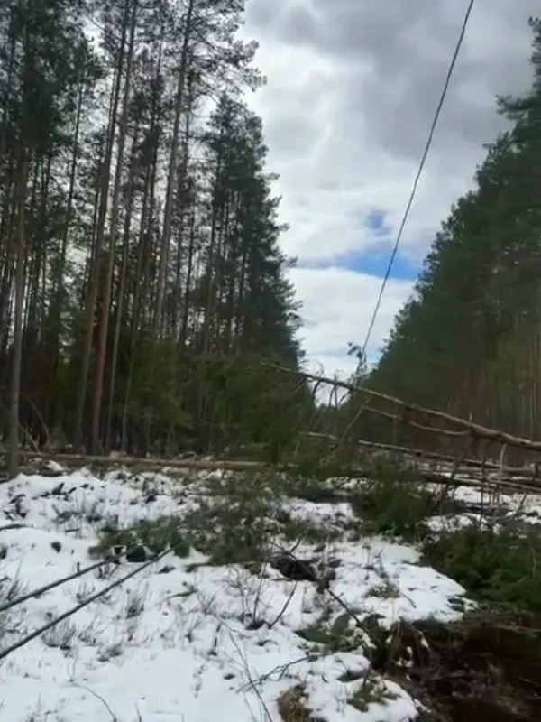 В Вологодской области восемь деревень остаются на электроснабжении от генераторов: бригады электриков пытаются устранить последствия апрельской непогоды, но жители жалуются, что ремонтные группы давно их не навещали.