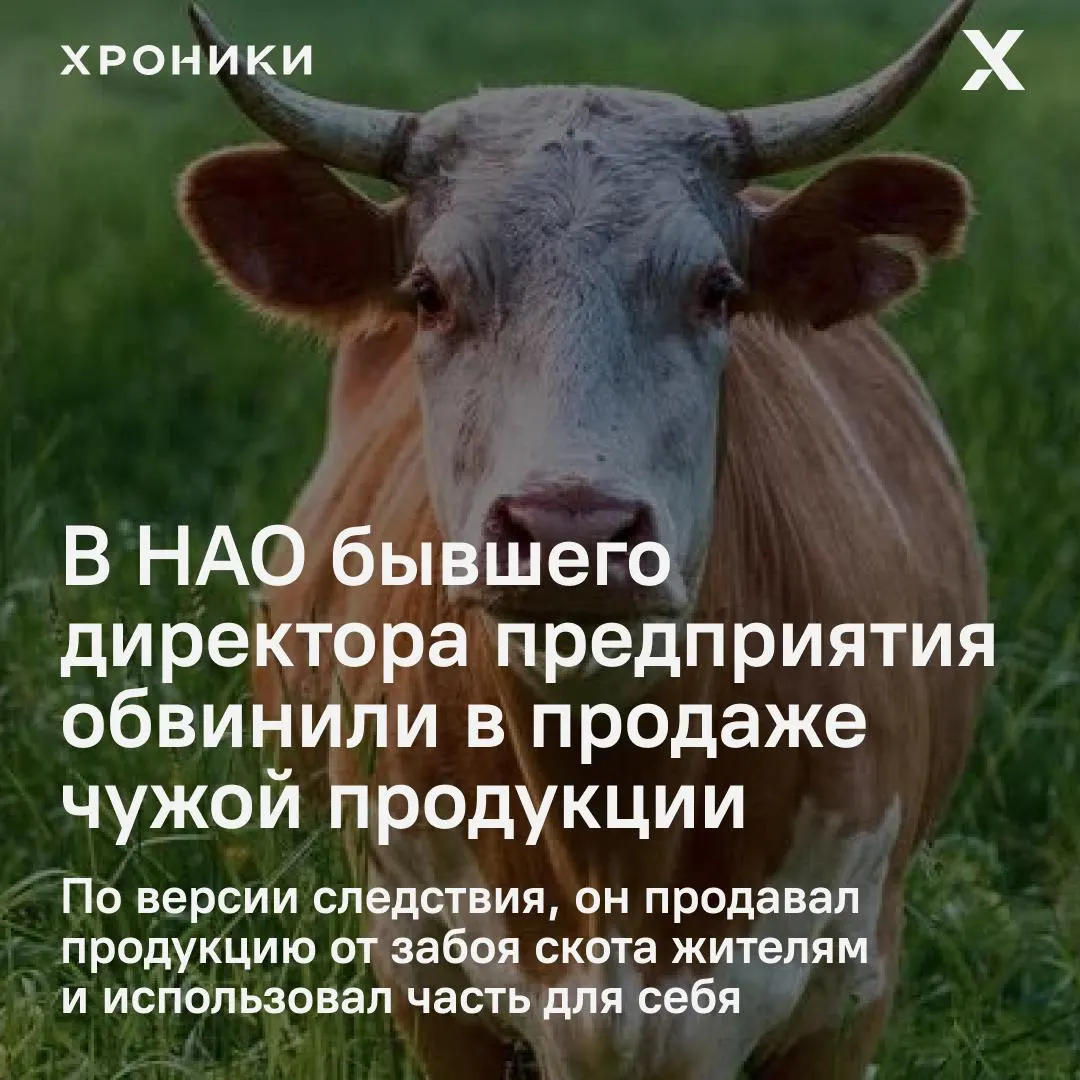 По версии следствия, в 2022–2025 годах он организовал незаконный забой скота предприятия и реализовал часть продукции, причинив поселению ущерб не менее 3,6 млн рублей.