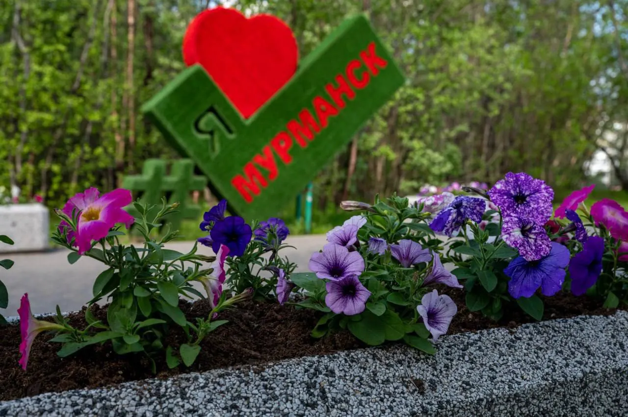 Город готовится к масштабным озеленительным работам: в 2026 году на 54 объектах намерены посадить 175 480 растений. В 2025 году высадили 9 200 саженцев; также проведены уборки и вывоз мусора с несанкционированных свалок.