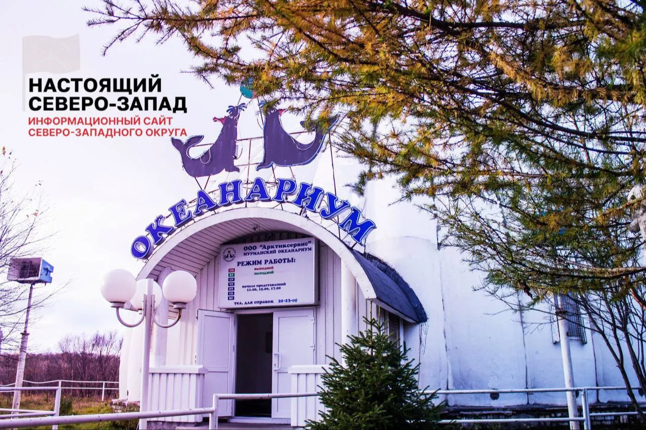 Работники мурманского океанариума уже более 110 дней остаются без зарплаты; животными продолжает ухаживать около десяти сотрудников, власти пока не решили проблему.
