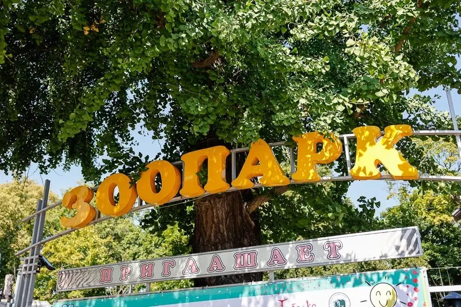 В субботу, 23 мая, в Калининградском зоопарке пройдет большой семейный праздник с концертом симфонического оркестра, атмосферой «ностальгии по СССР» и развлекательной программой для детей и взрослых.