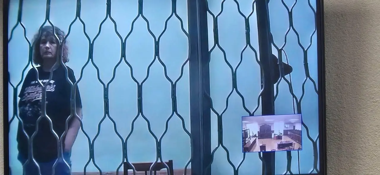 В павильонах общественного транспорта Калининграда начали транслировать видео с кадрами ареста адвокатки Марии Бонцлер и сообщением о передаче дела о госизмене в суд. Защитники заявляют, что обвинение основано на предположениях; сама адвокатка жаловалась на условия в СИЗО.