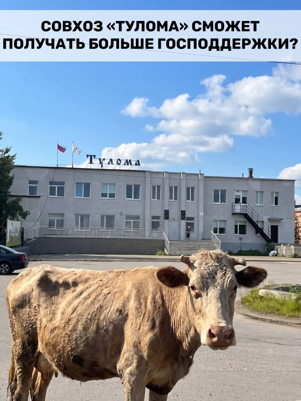 Минсельхоз расширил условия получения федеральных субсидий — теперь помощь смогут получать хозяйства с долей государственной или муниципальной собственности свыше 25%. Для Мурманской области это важно, но в совхозе «Тулома» фиксируют кризис, и местные опасаются, что помощь может не прийти вовремя.