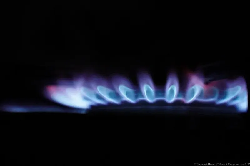 Региональные власти после совещания с представителями газовой отрасли заявили, что массовых отключений газоснабжения в Калининградской области не будет; возможны лишь точечные приостановки у абонентов без договора на ТО или без допуска для проверки оборудования.