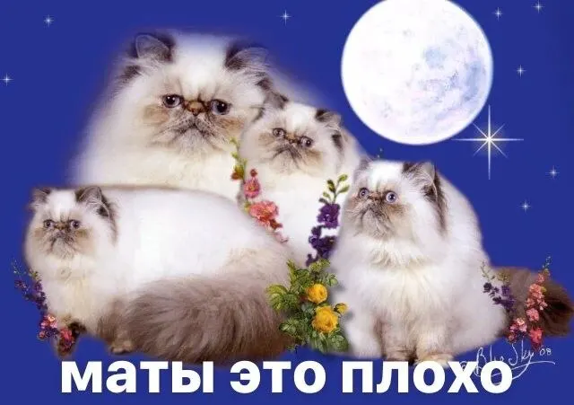 Автоматическая телефонная станция Смольного собирается приобрести сервис с голосовым ассистентом, который должен будет самостоятельно обрабатывать до 90% звонков в 112 и другие городские службы; в тестировании предусмотрены сценарии реакции на нецензурную брань.
