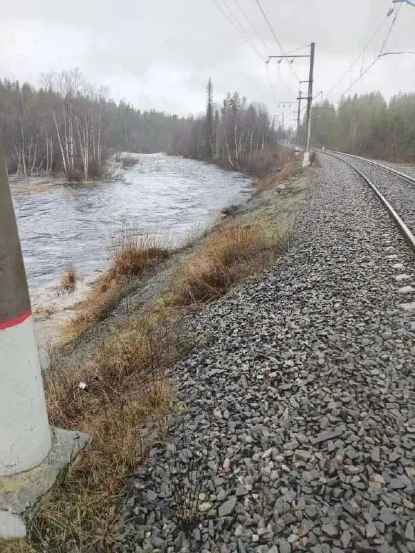 Оперативный штаб сообщает о быстром подъеме уровня воды в реке Кола из‑за сильных дождей: к 20:00 прогноз — 290–300 см, к 08:00 18 мая — 320–330 см. В Кидьдинстрое и на водопропускных сооружениях ведутся превентивные работы, подтоплений не зафиксировано.