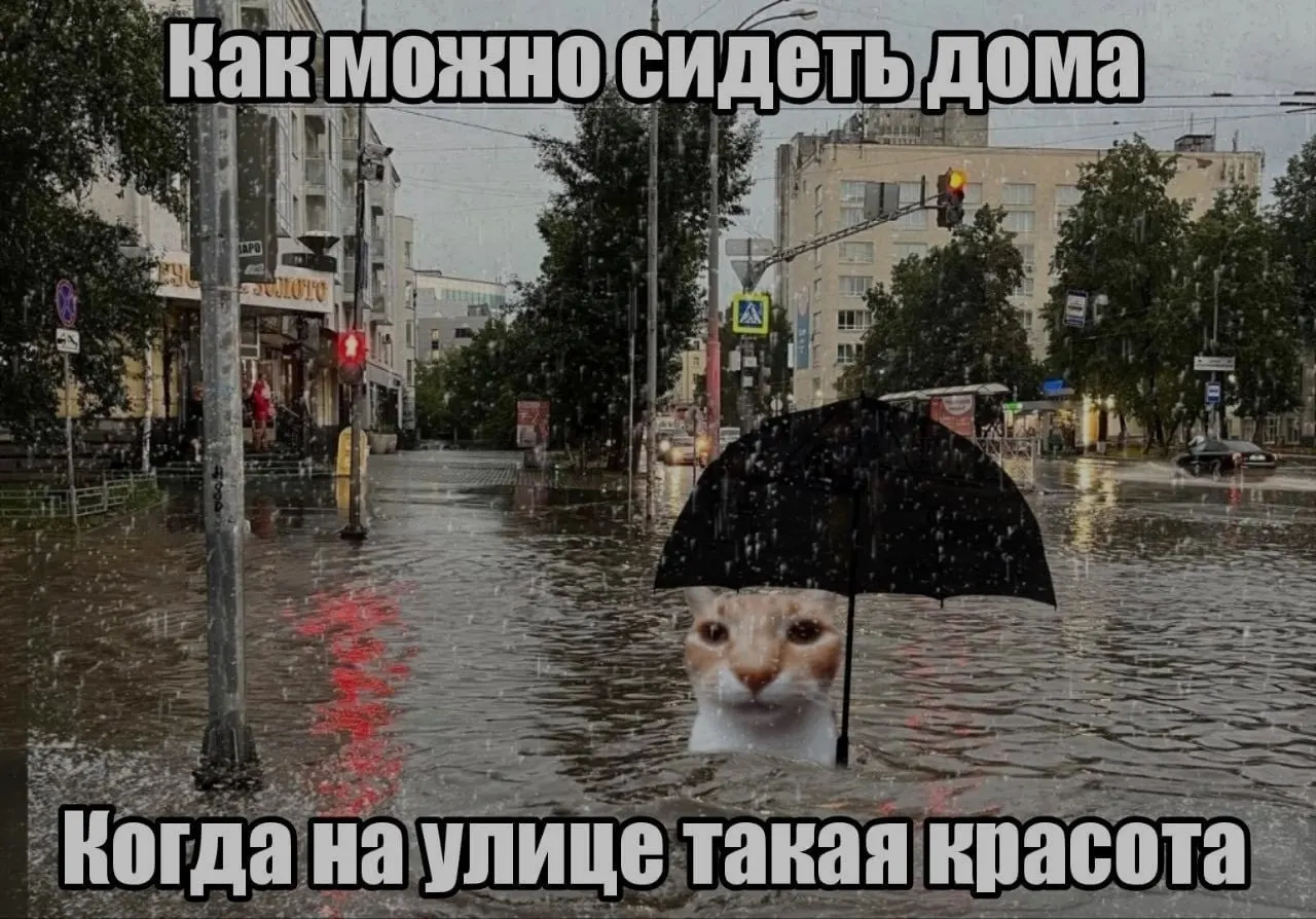 С 26 мая в Петрозаводске дневная температура опустится до +4…+7 °C, ночами — до +1…+3 °C; прогнозируют дождь с примесью мокрого снега.