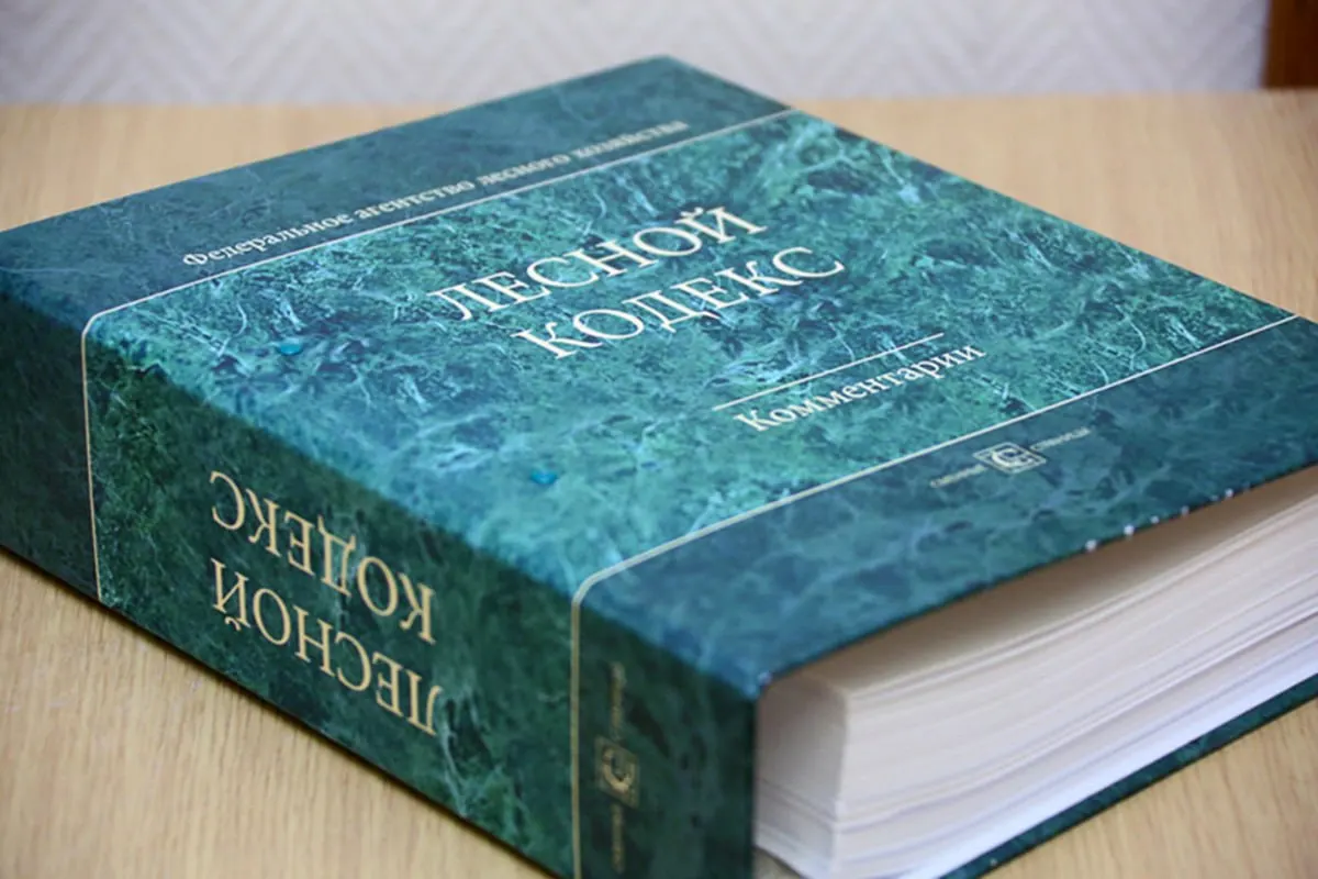 Кодекс, принятый в 2006 году, изменяли 79 комплектами поправок; последний набор вступит в силу в сентябре. Лесной эксперт считает, что документ нужно упростить и заменить новым.