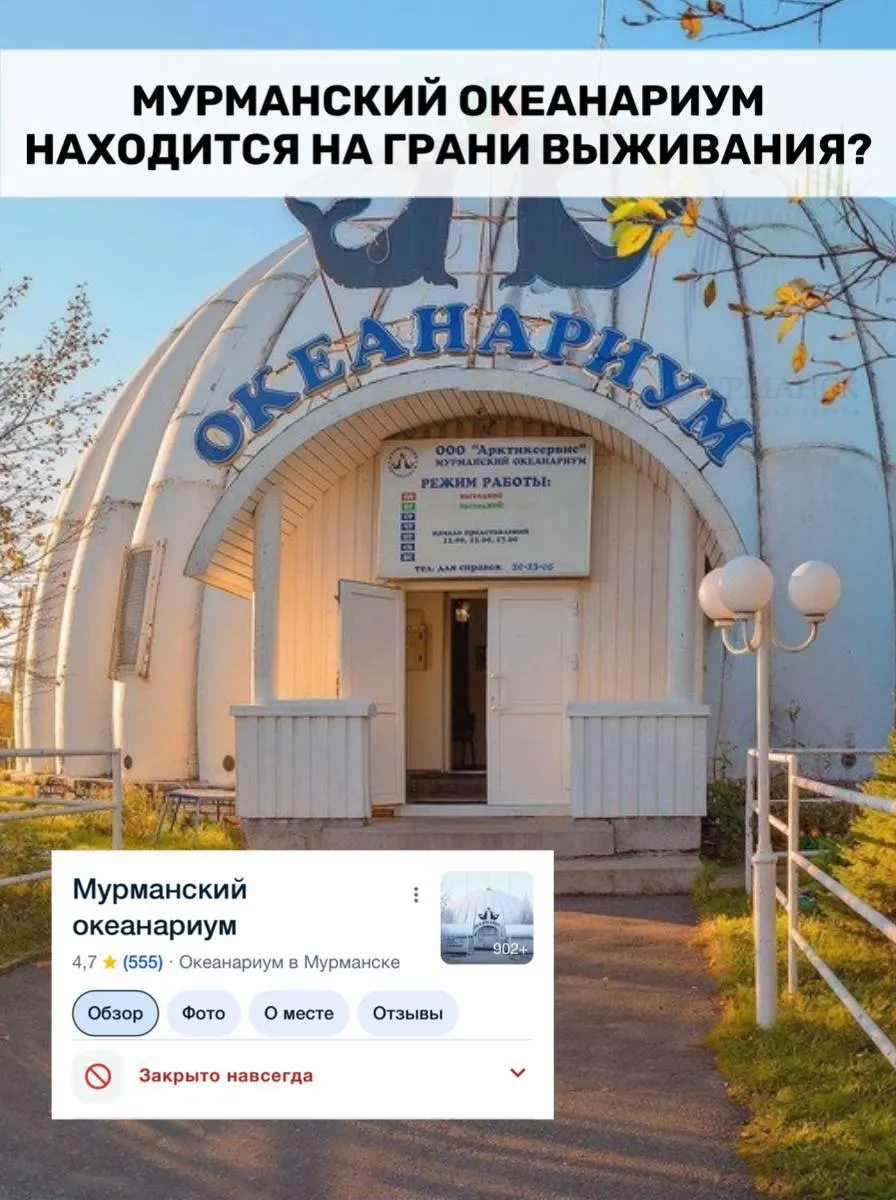 Океанариум в Мурманске может потерять землю и сталкивается с новыми исками по коммунальным долгам; сотрудники жалуются на задержки зарплат, волонтёры пытаются поддержать учреждение.
