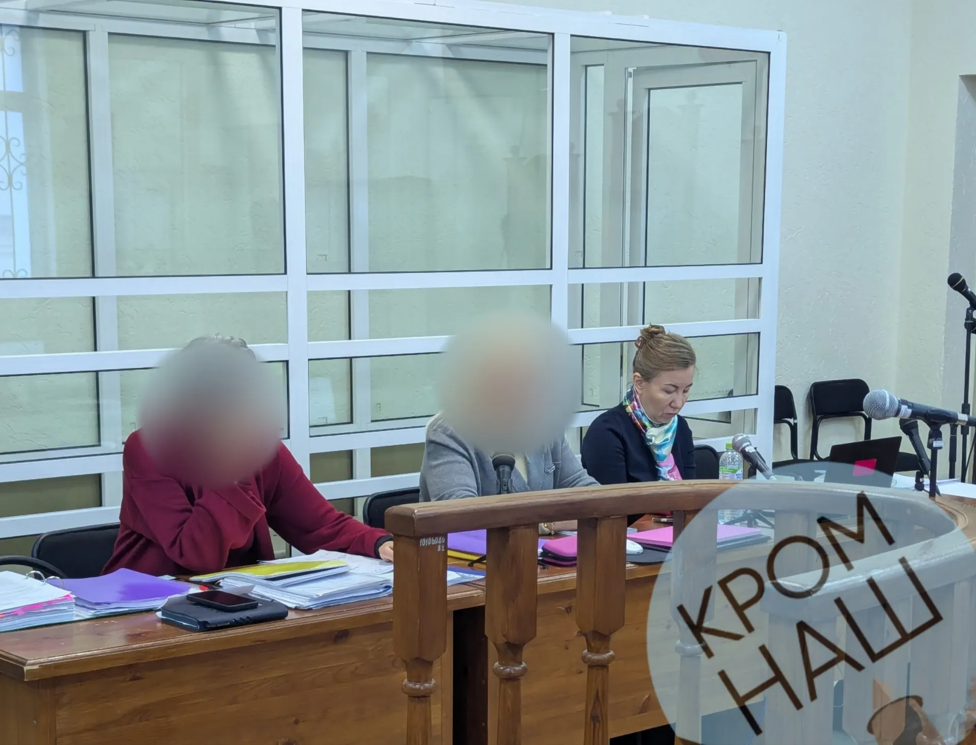 В Псковском городском суде проходит четырнадцатое заседание по уголовному делу бывшей ректора Псковского государственного университета Натальи Ильиной.