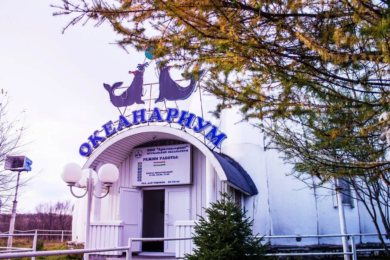Около десяти сотрудников ухаживают за редкими тюленями и другими обитателями, но не получают зарплату более трёх месяцев. Сотрудники обратились в прокуратуру, владелец арестован — выплаты не возобновлены.