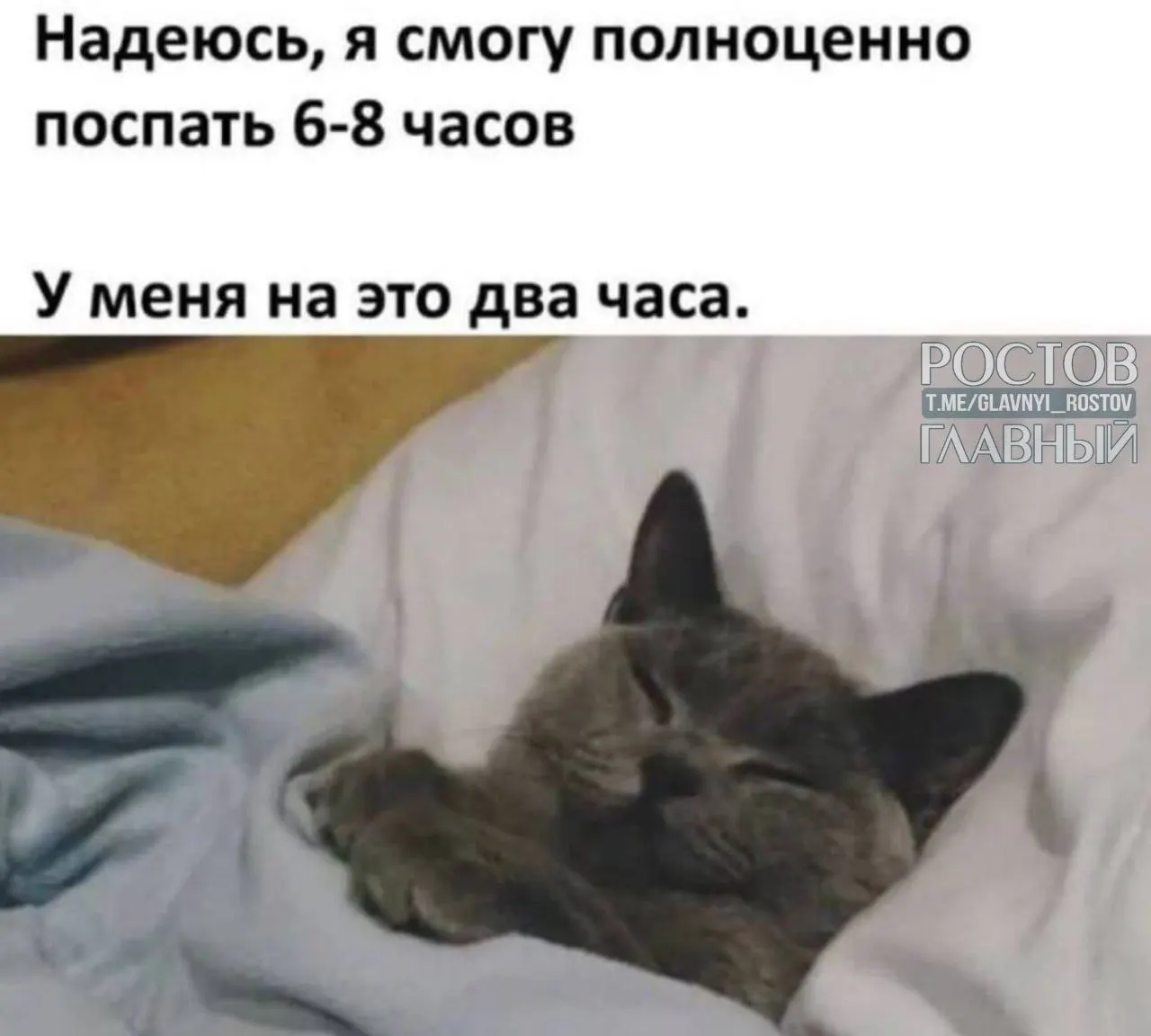 Туристы ищут уединённые места вдали от сетей: в лидерах — Подмосковье, Ленобласть, Кавминводы, Алтай и юг России. Многие специально бронируют отели без интернета, чтобы полностью отключиться.