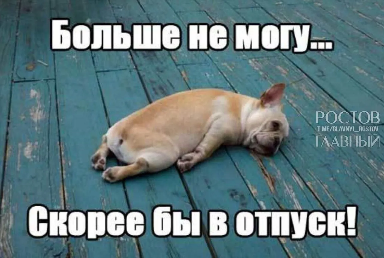 Депутаты предлагают повысить минимальный оплачиваемый отпуск с 28 до 35 дней, чтобы компенсировать дни, попадающие на выходные, и снизить риск профессионального выгорания.