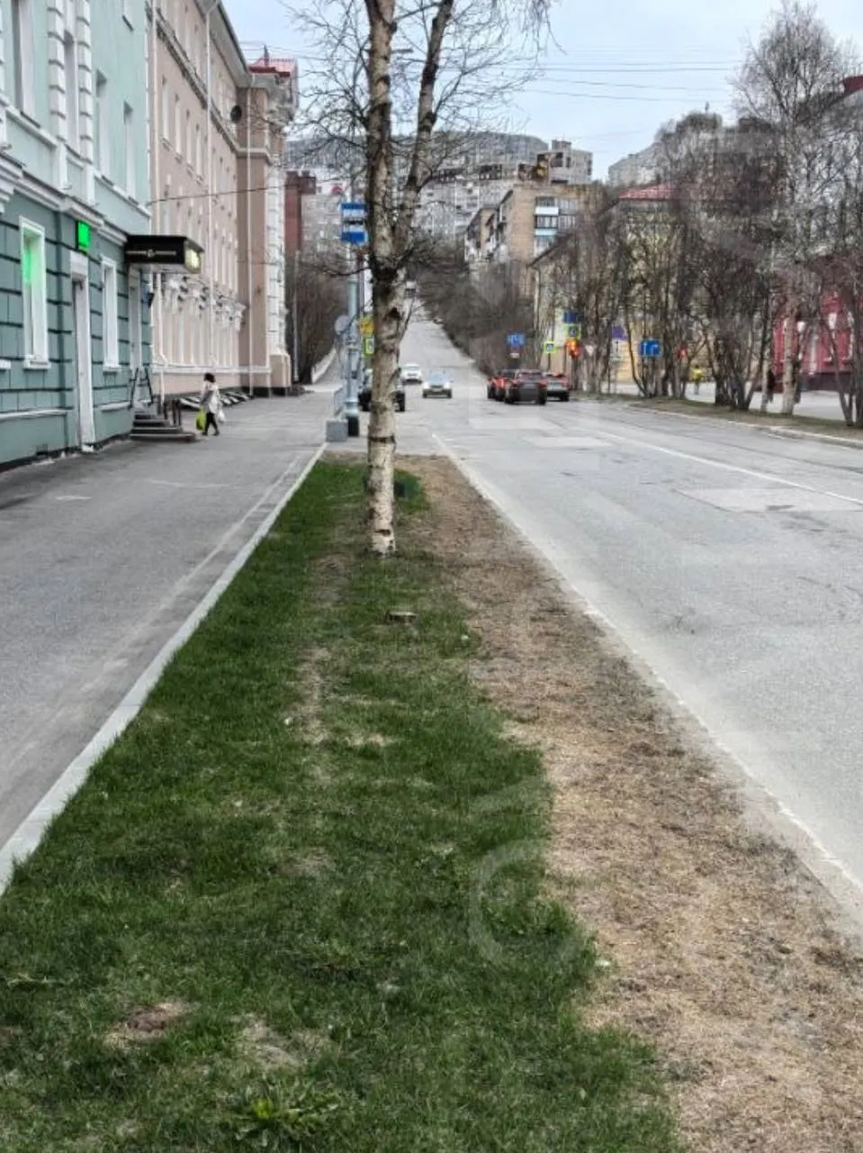 Засыпанные солью и реагентами участки газонов в центре города выгорели: многолетняя трава не пережила зимнюю обработку дорог.