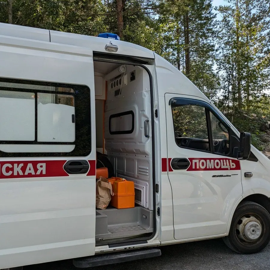 Вечером в микрорайоне Соломенное алабай набросился на подростка: ему зашили раны, назначен курс антирабической вакцины. Семья намерена подать в суд на владельца собаки.