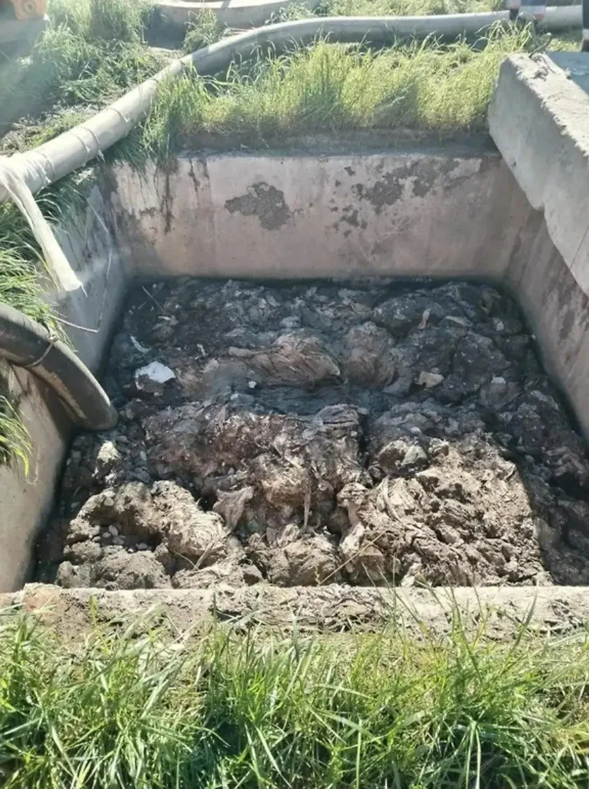 Арбитраж удовлетворил иски водоканала после засоров в мае 2025 года: пострадали насосный агрегат и участок сети, суд признал абонентов виновными и назначил возмещение расходов.