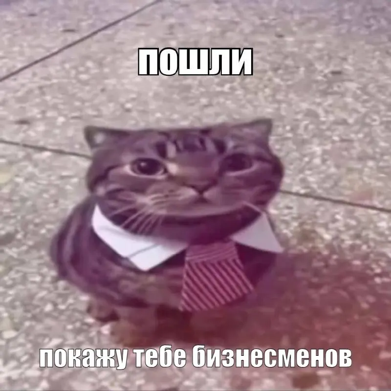 Участникам форума предложат персонального координатора и консультанта для составления расписания, организации встреч, сопровождения на пресс‑подходах и доступа к закрытым мероприятиям. Стоимость — 150 000 рублей в сутки.