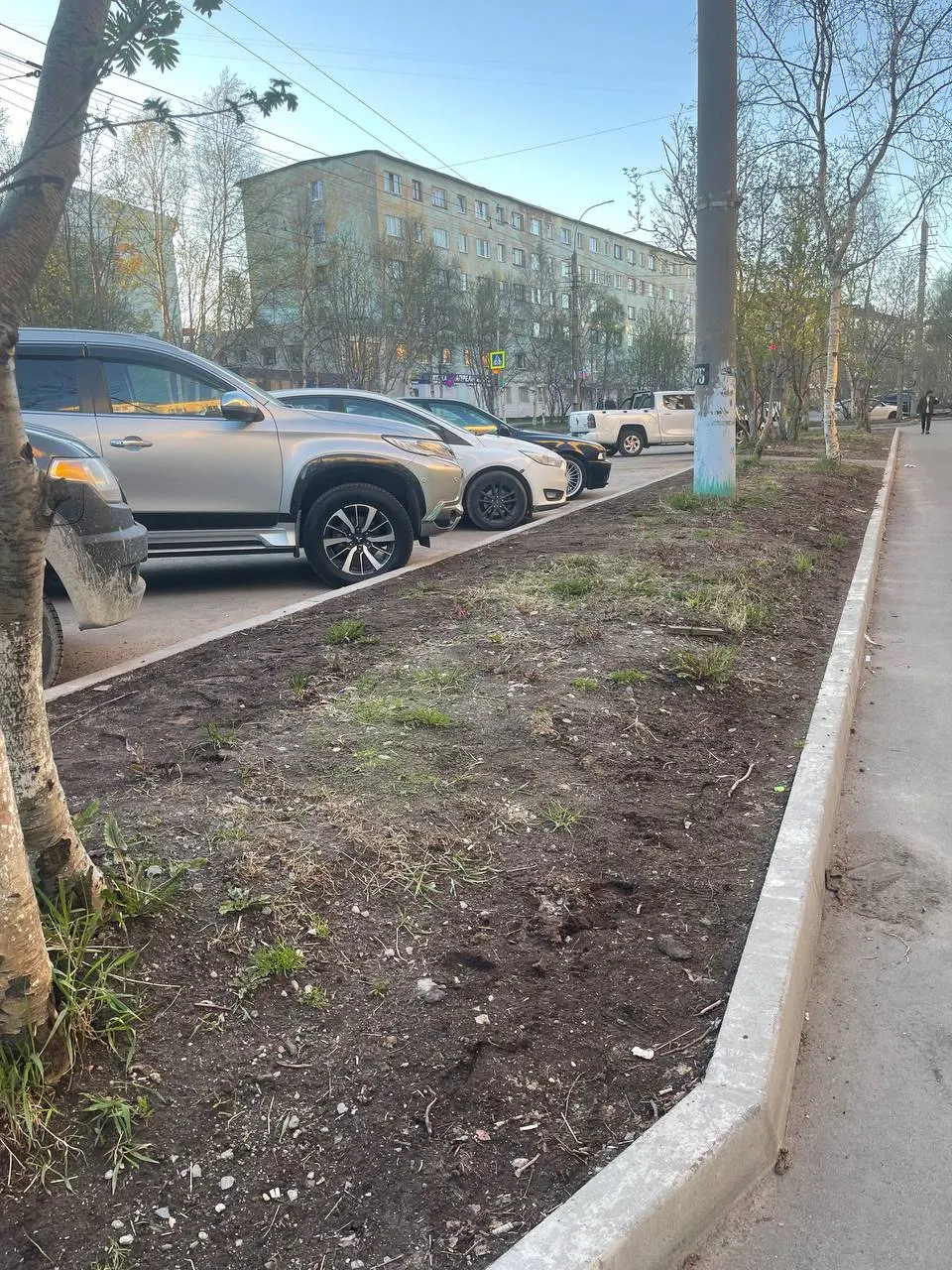 В 2024 году на Полярных Зорях посеяли новый газон, но во время ремонта дороги и тротуара в 2025 году он был уничтожен и не восстановлен — теперь травяной покров выглядит плачевно.