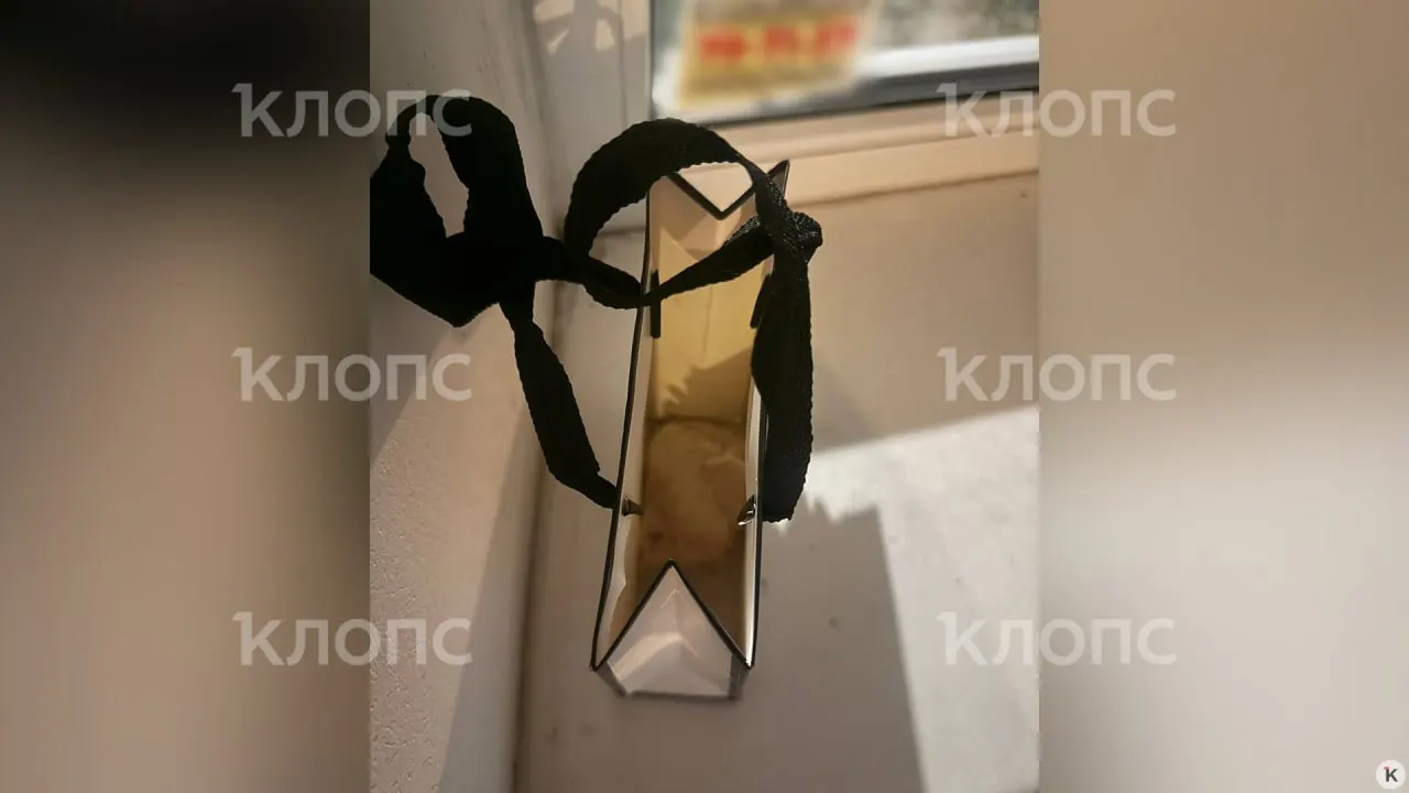Подросток отправила семьям видео, где убивает котёнка, затем прислала фото пакета, висящего на дверной ручке — в нём обнаружили мёртвое животное. Девочку забрала психиатрическая бригада, полиция проводит проверку.