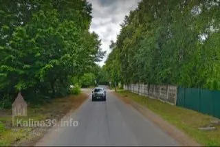 На участке от дома №100 до №127 планируют вырубить 28 взрослых деревьев — клёны, ясени, липы, сливы и другие. Взамен обещают высадить 22 липы и один куст форзиции.