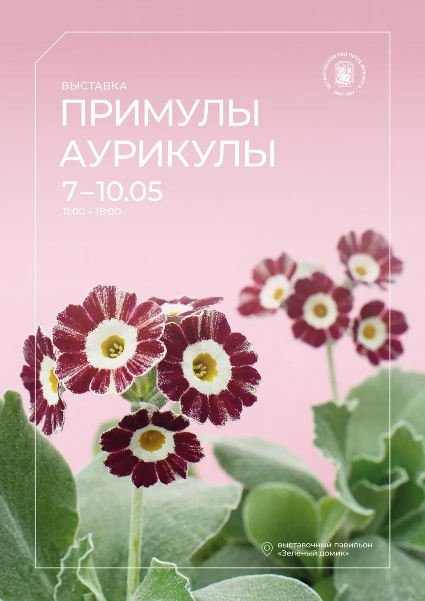 Ботаническая выставка и весенний фестиваль тюльпанов в Санкт-Петербурге: даты, участники и программа мероприятий.
