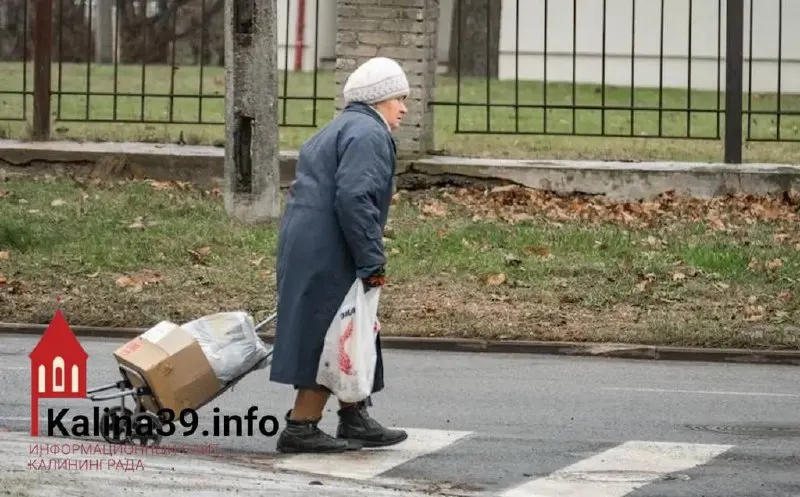 Региональное отделение Социального фонда сообщает, что более 46 тысяч неработающих пенсионеров области имеют доход ниже установленного прожиточного минимума в 16 776 ₽ в месяц; им автоматически начисляется региональная социальная доплата.