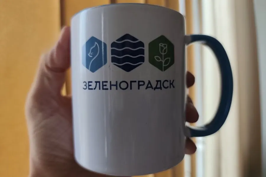 Фирменный стиль Зеленоградска, разработанный студентами БФУ имени Канта, обнаружили на детской площадке в Макс-Ашманн-парке и на новом аттракционе в ЦПКиО. Дирекция ландшафтных парков заявила, что не знала об использовании чужого бренда и поручила подрядчикам убрать символику.