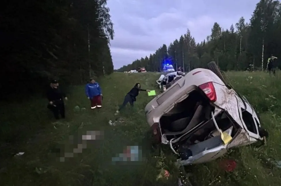 На 592‑м километре трассы А‑215 в Плесецком районе произошла авария — пятеро пассажиров одного автомобиля погибли. Возбуждено уголовное дело.