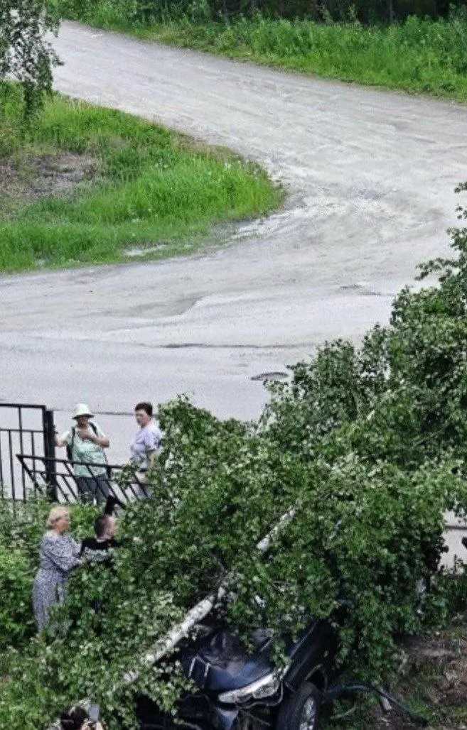 Автомобиль врезался в ограждение и в берёзу на территории больницы в Медвежьегорске: свидетели сообщают, что водителю стало плохо и он потерял сознание.