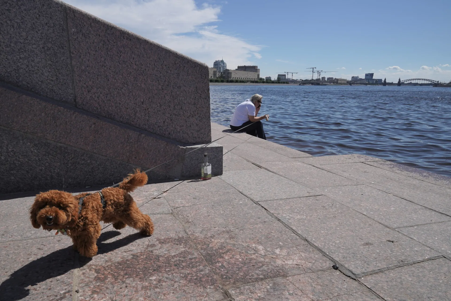 До +20…+22°C, петербуржцы вышли гулять — фотоподборка с городских улиц, парков и набережных.