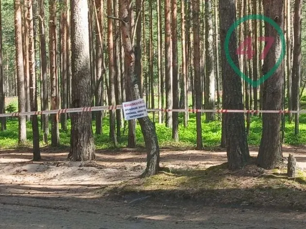 Из‑за ночной атаки БПЛА закрыты дорога и железнодорожная ветка между посёлками, проводятся работы по разминированию. Изменено автобусное и ж/д сообщение, часть жителей эвакуировали и затем вернули домой.