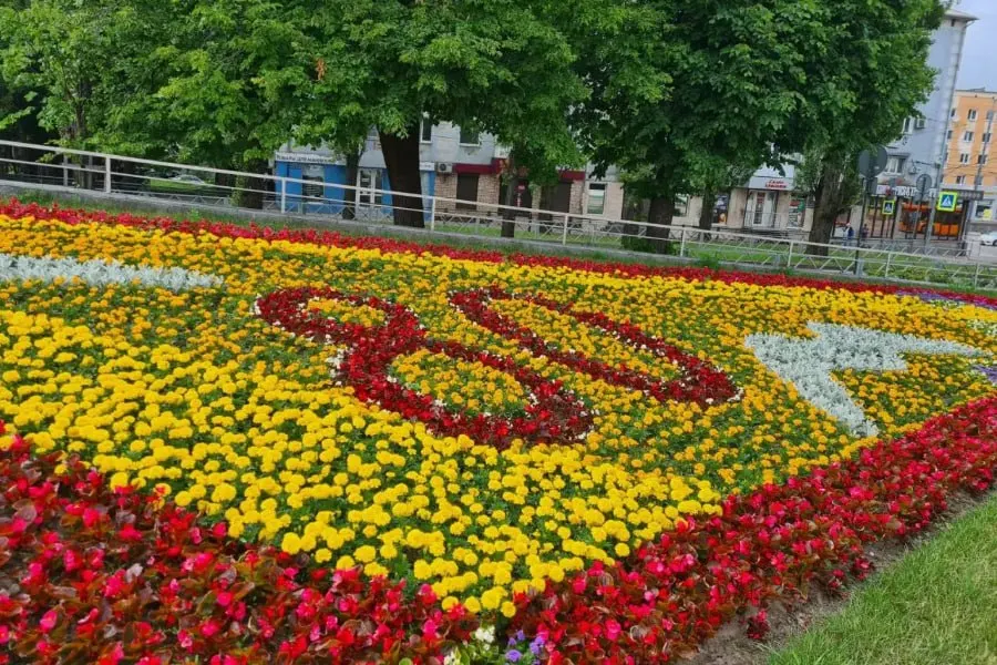 На 50 городских клумбах появились более семи видов летних растений — петуния, герань, агератум, колеус и бальзамин. Работы проведены на проспектах и в скверах перед праздником.