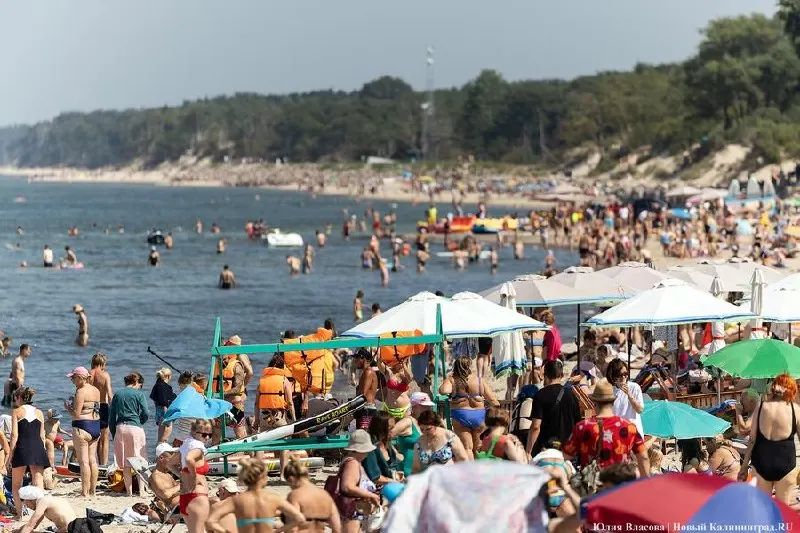 Температура прибрежной воды поднялась до +22…+23 °C — это значительно выше нормы для июня; из‑за прогрева началось цветение водорослей и фиксируются случаи падежа рыбы.