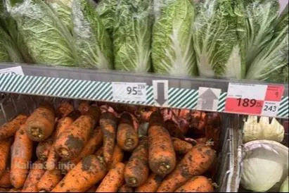 За месяц в крупных сетях Калининграда набор продуктов подорожал на 92–209 рублей. Наибольший рост — у овощей и фруктов, особенно у огурцов.