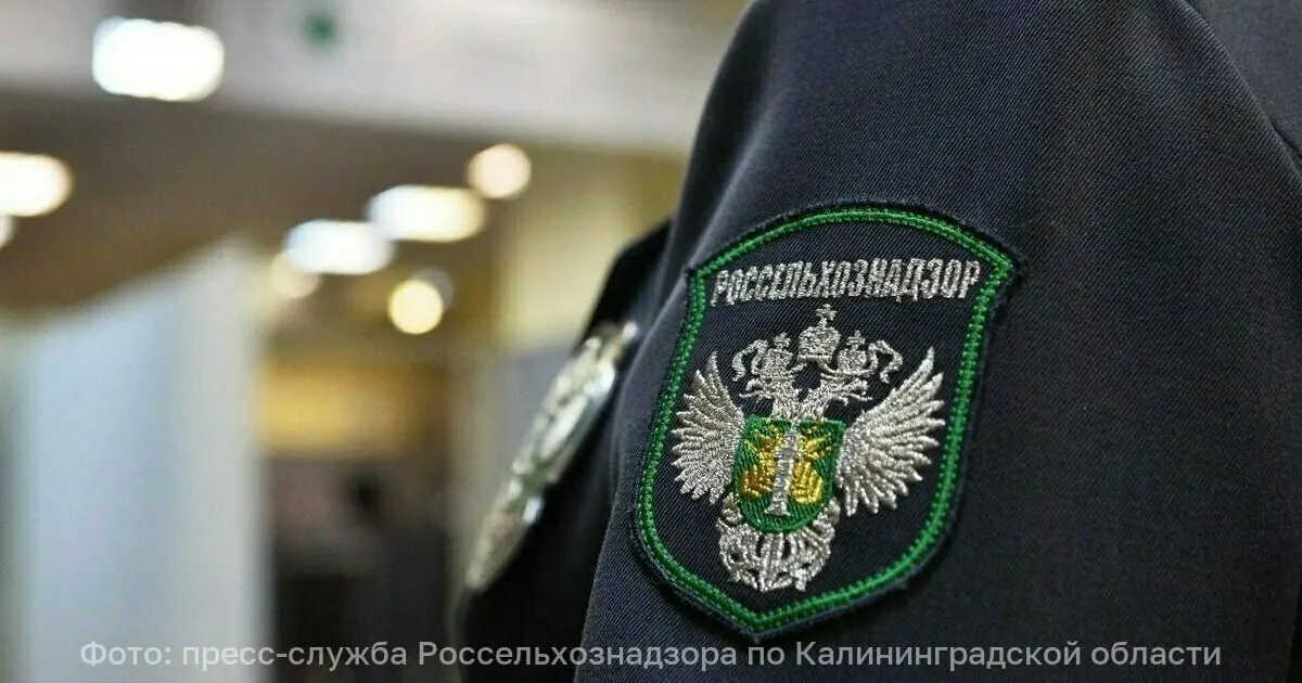 Россельхознадзор выявил, что творожные сырки со сгущёнкой содержали заменитель молочного жира; у предприятия отозвали декларацию о соответствии.
