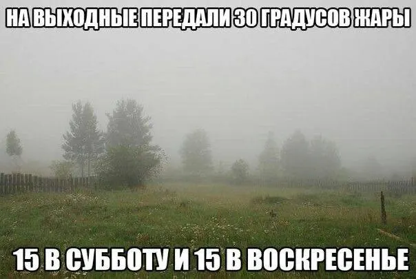Академик РАН Владимир Клименко оценивает лето как чуть теплее нормы в центральных регионах, возможны отдельные тепловые волны и засуха на юге; осадков ожидается немного меньше, особенно в июле.