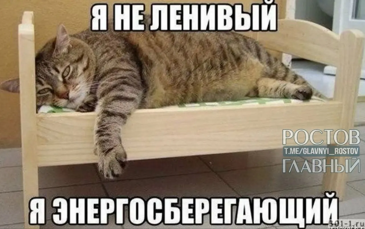 Жители Нижнего Новгорода, Перми и Воронежа чаще всего поддерживают сокращённый рабочий день до шести часов; в Петербурге респонденты чаще мечтают вовсе не работать, а наибольшее число трудоголиков — в Краснодаре и Ростове-на-Дону.
