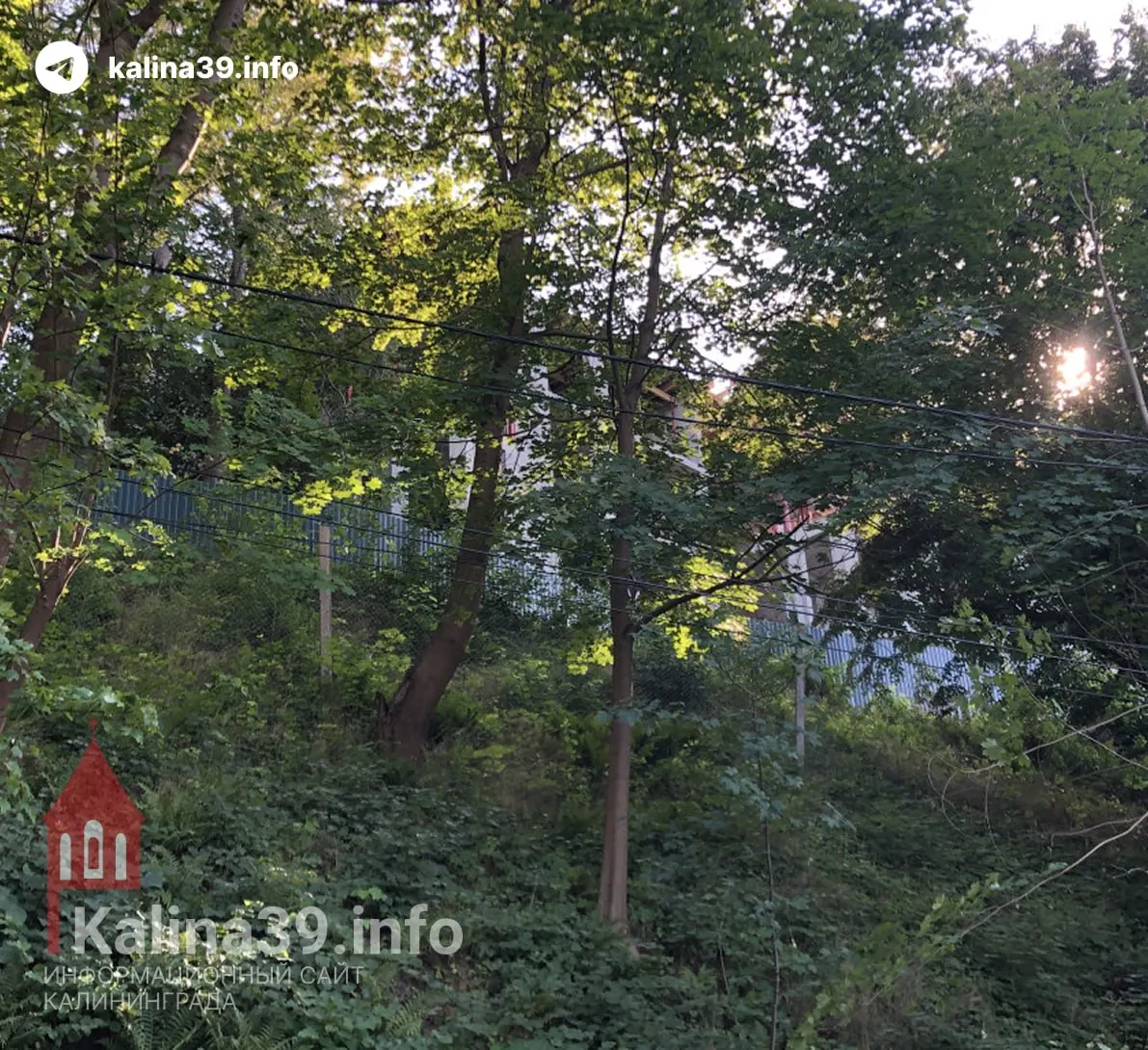 Власти перевели более 1,2 гектара зелёной зоны на склоне в центре Светлогорска в общественно-деловую зону: там разрешат строить отели, рестораны и другие объекты высотой до 20 м.