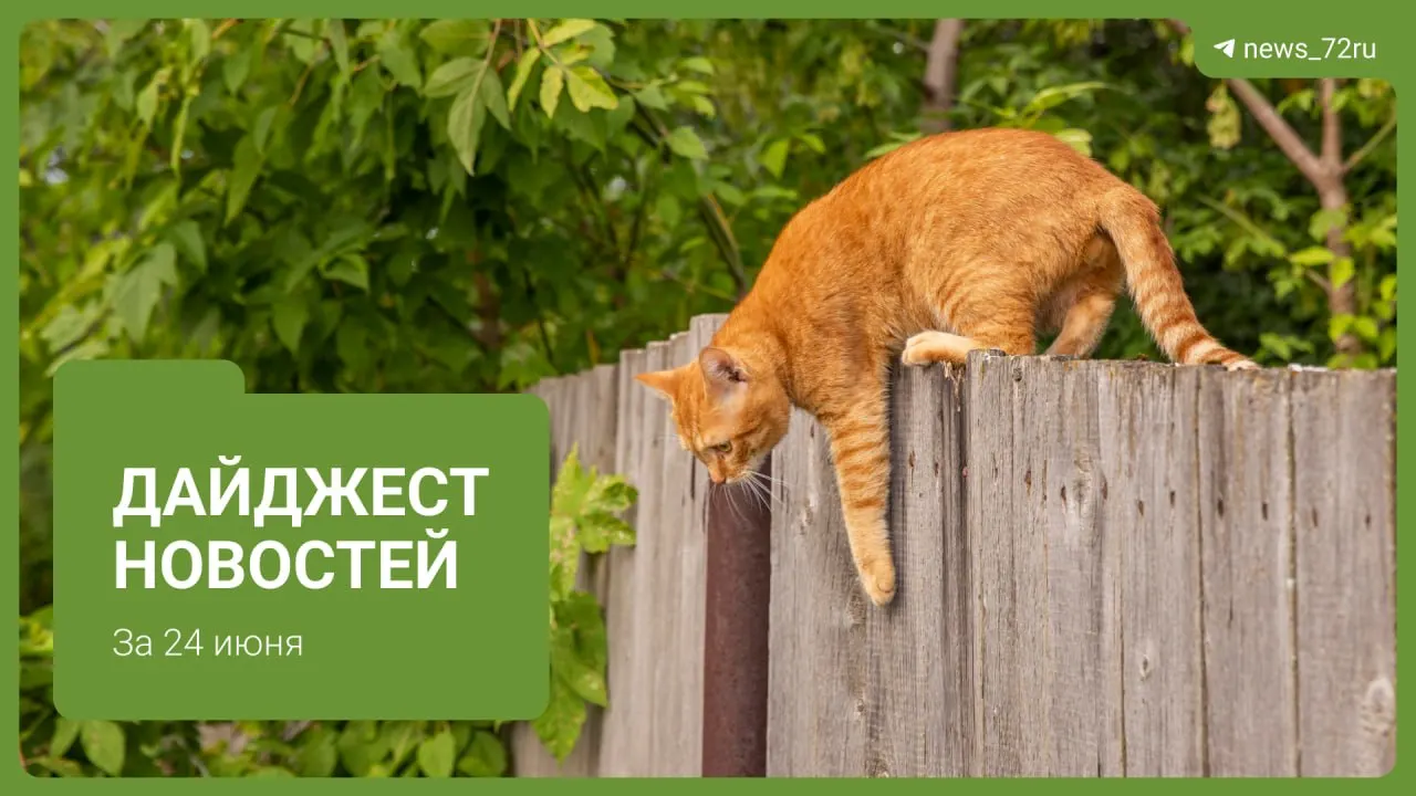 Коротко о главном: частный перевозчик ввёл дресс‑код для водителей автобусов, ФАС следит за ценами на топливо в Тюмени, трассу М‑12 собираются сделать скоростной, ожидаются затяжные дожди и другие заметные события.