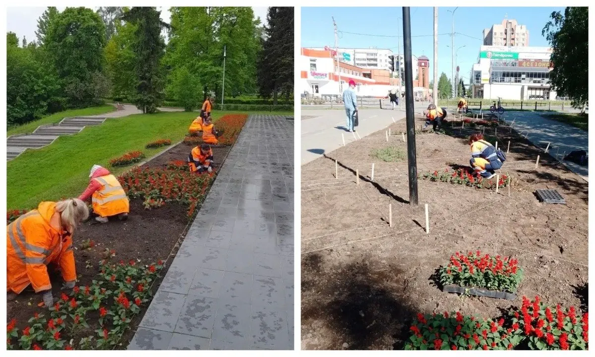 В столице Карелии стартовал цветочный сезон: в разных районах города коммунальные службы оформляют клумбы и уличные вазоны. Планируется посадить примерно 50 тысяч петуний, тагетиса, сальвии и бегонии.