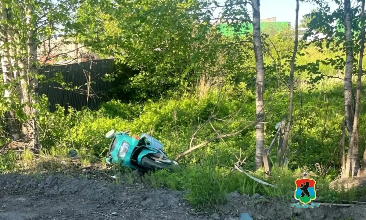 В Кондопоге 5 июня столкнулись КамАЗ и мотоцикл: водитель грузовика остался жив, мотоциклист погиб. Полиция установила личность погибшего и проводит проверку.