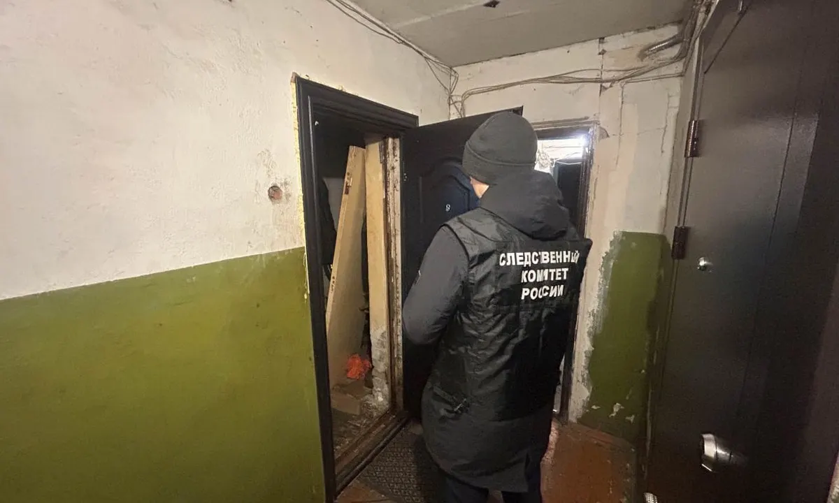 В начале апреля на улице Зайцева в Петрозаводске в ходе ссоры 24-летняя женщина ударила ножом своего сожителя; мужчина скончался на месте, подозреваемая призналась и содержится в СИЗО.