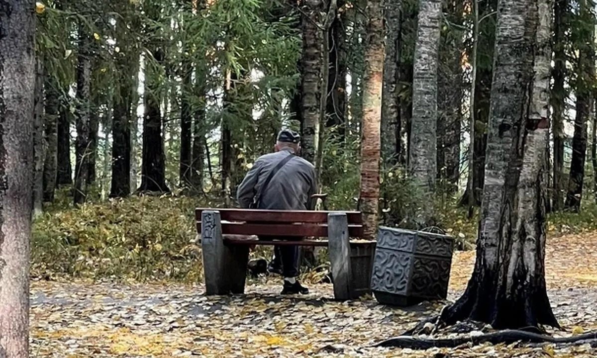 59‑летний житель Сегежского района перевёл родственнику более миллиона рублей и сам потерял деньги, поверив в «прибыльные» вложения из соцсетей — когда вывести средства не удалось, пострадавшие обратились в полицию.