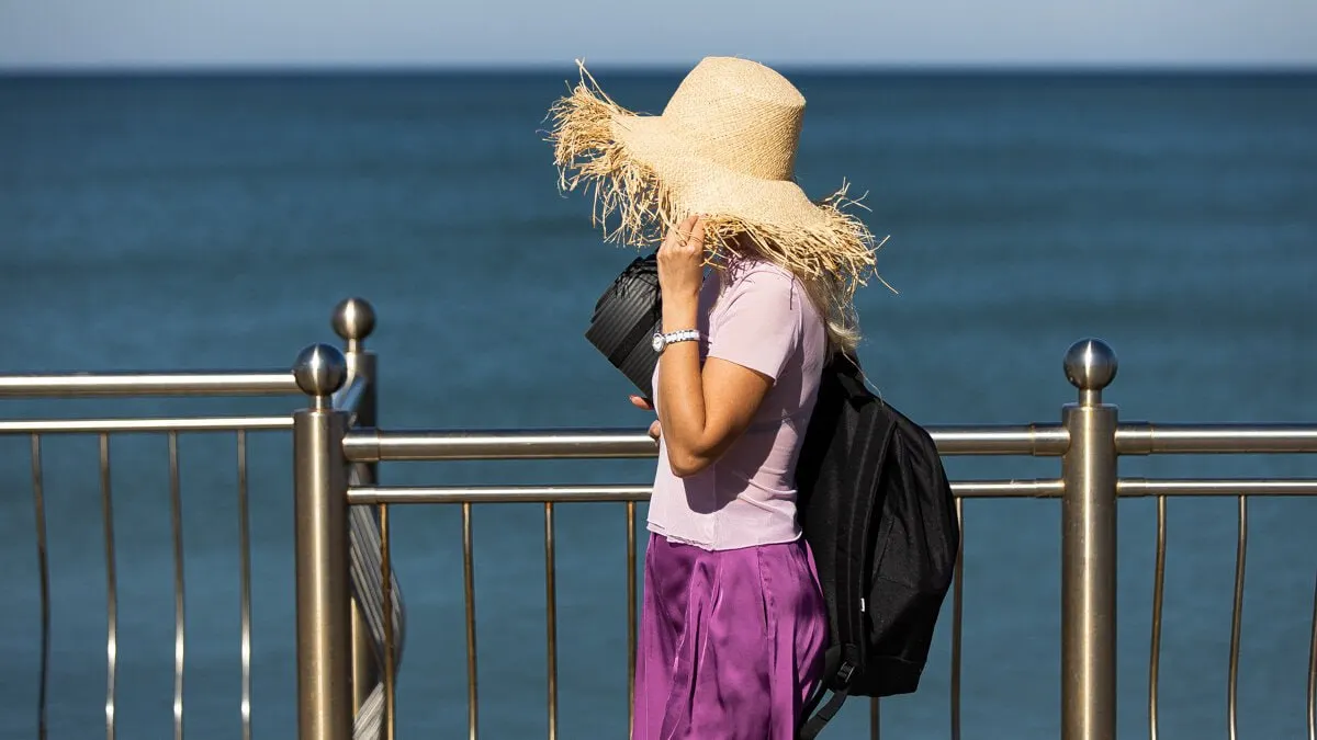 В понедельник воздух прогреется до +24 °C; ветер 4–9 м/с, на Балтийском побережье +14–17 °C. Переменная облачность, к вечеру ожидаются кратковременные осадки.