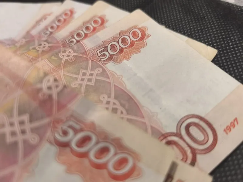 Санкт-Петербург занимает третье место в стране по сумме налоговой задолженности — после Москвы и Московской области. По России общий долг по обязательным платежам достиг 4 трлн рублей.