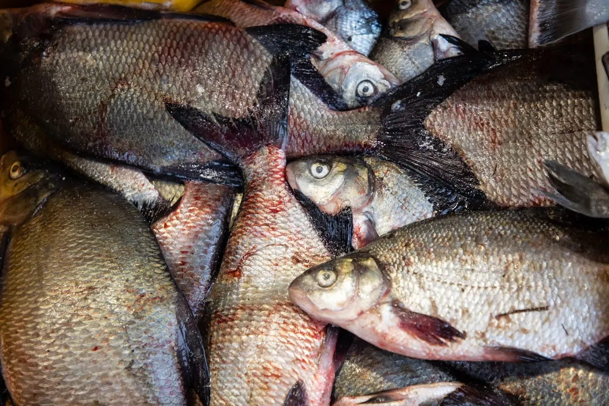 По данным статистики, за год продукты питания в регионе стали дороже на 6,68%, а с начала года — на 9,46%. Май показал умеренное снижение цен в среднем на 1,05% из‑за подешевевшего мяса, тогда как рыба и морепродукты остаются основным драйвером удорожания.
