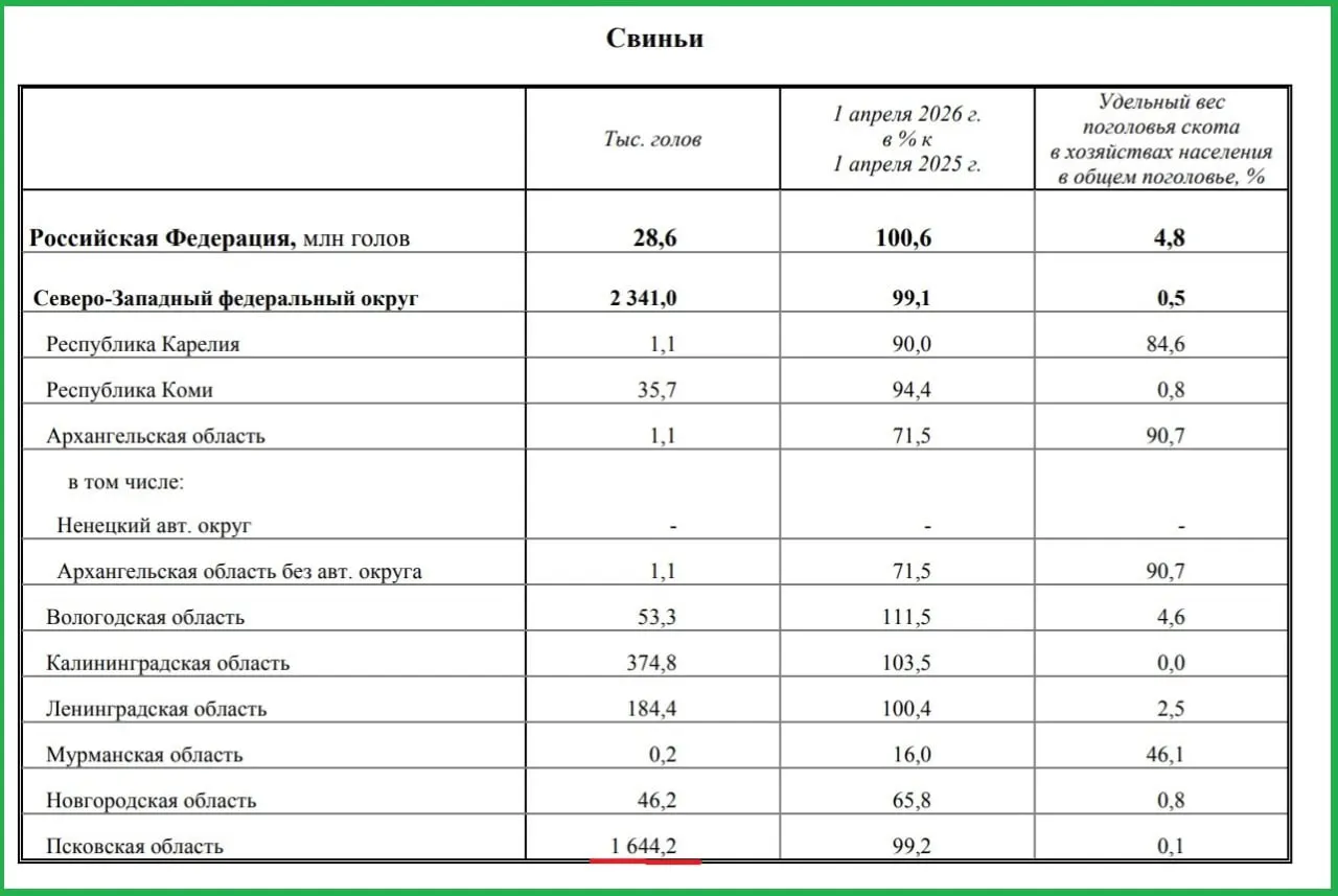 По обновлённой статистике в Псковской области насчитывается 1 млн 644 тыс. свиней — это почти 70% от общего поголовья в СЗФО, где всего 2 млн 341 тыс.